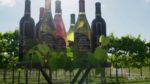 Cypress Bend Vineyards