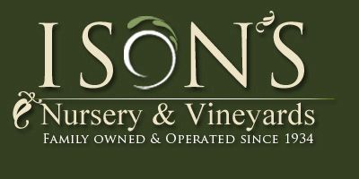 Ison’s Nursery & Vineyards | North Carolina Muscadine Grape Association ...